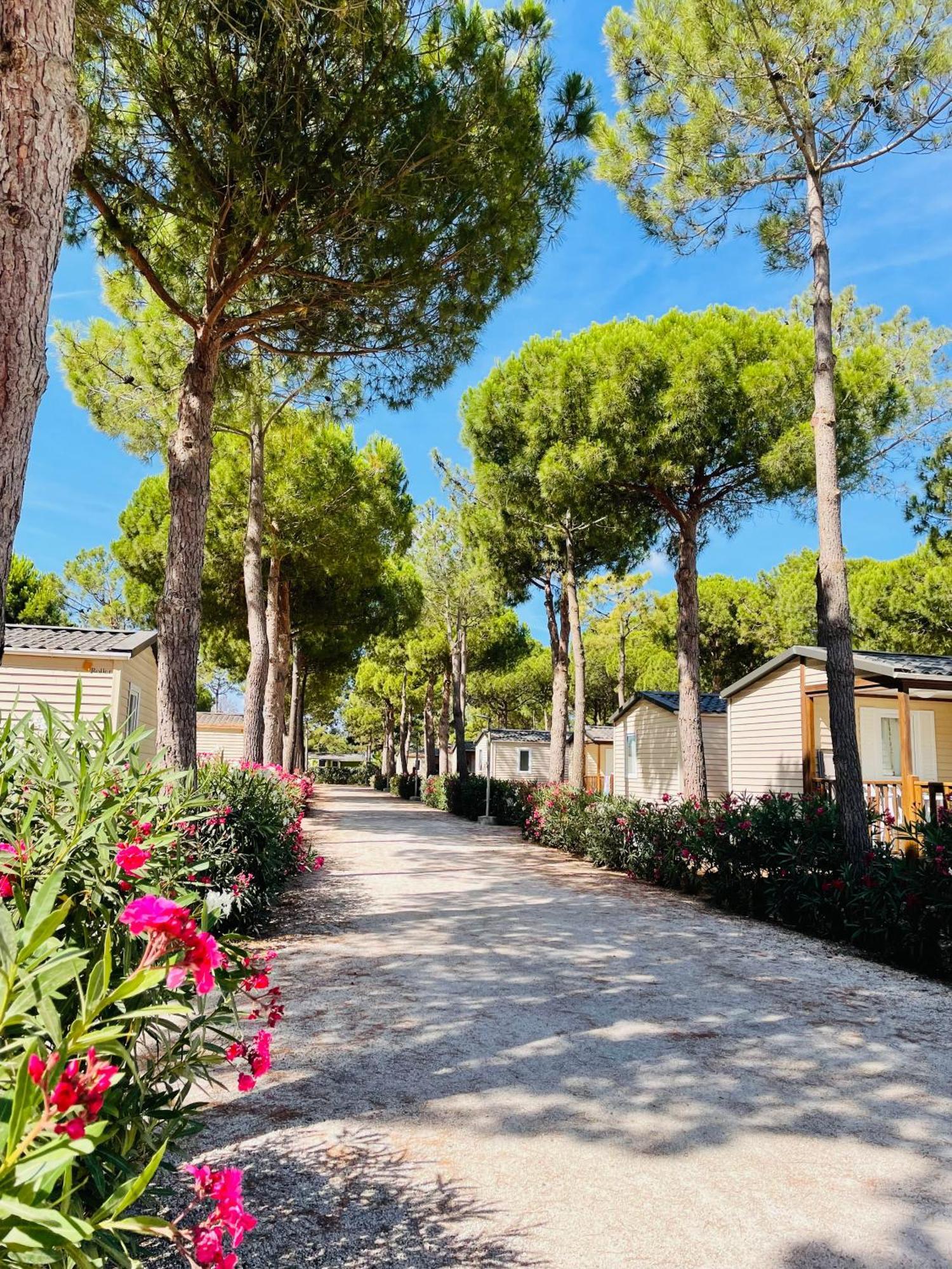 Camping Le Calypso 5 Etoiles Torreilles Buitenkant foto